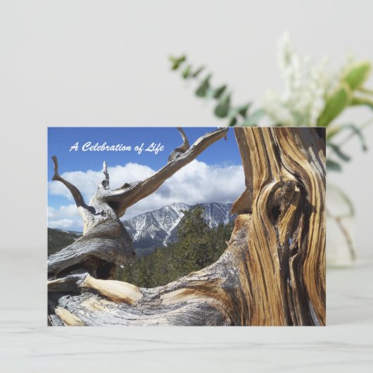 Viering van de bergen van de Snowy Life Thru Tree Kaart (Staand voorkant)