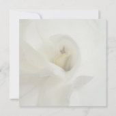 Viering van de uitnodiging tot het indienen van vo (Achterkant)