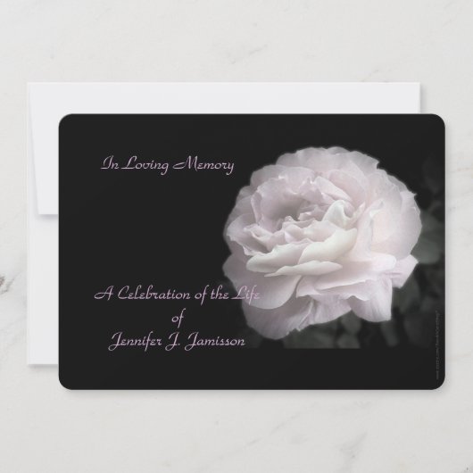 Viering van de uitnodiging voor het leven Bleke ro (Voorkant)