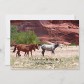 Viering van de uitnodiging voor het leven, drie pa (Voorkant)