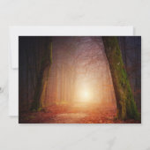 Viering van het bos van de zonneschijnbomen voor d kaart (Achterkant)