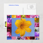 Viering van het Briefkaart van de lente (Voorkant / Achterkant)