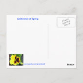 Viering van het Briefkaart van de lente (Achterkant)