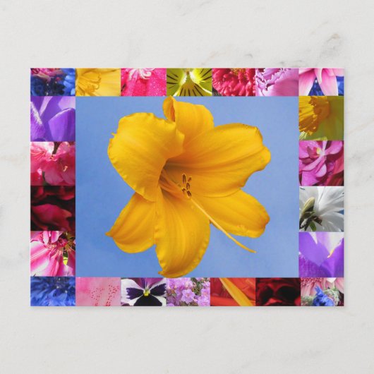 Viering van het Briefkaart van de lente (Voorkant)