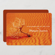 Viering van het leven, eenzame boom in de Fiery Re