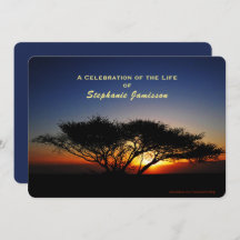 Viering van het leven, Lone Acacia-boom op zonsopg