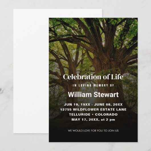 Viering van het leven | Moderne begrafenisbomen Kaart (Voorkant / Achterkant)
