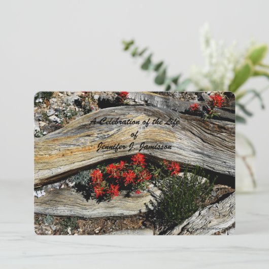 Viering van het leven, Rode bloemen Verweerd hout Kaart (Staand voorkant)