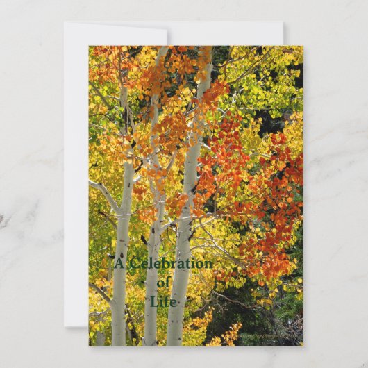 Viering van het leven van drie spenen in het najaa kaart (Voorkant)