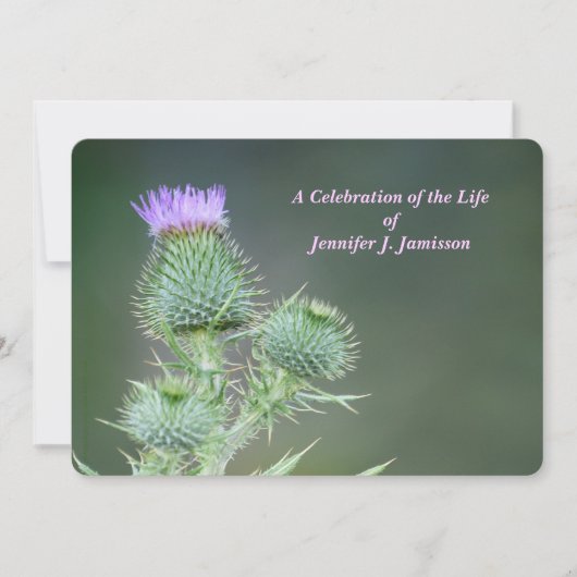 Viering van het roze wild-bloemen kaart (Voorkant)