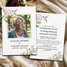 Viering Van Leven Kolibrie Bloem Foto 