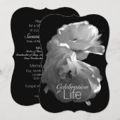 Viering van Life 3 White Rose Memorial Service Kaart (Voorkant / Achterkant)