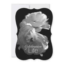 Viering van Life 3 White Rose Memorial Service