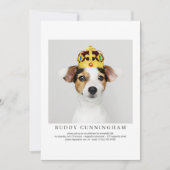 Viering van Life Simple Elegant Pet Photo Kaart (Voorkant)