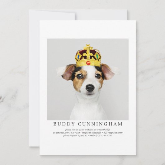 Viering van Life Simple Elegant Pet Photo Kaart (Voorkant)