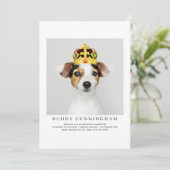 Viering van Life Simple Elegant Pet Photo Kaart (Staand voorkant)