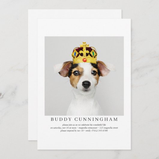 Viering van Life Simple Elegant Pet Photo Kaart (Voorkant / Achterkant)