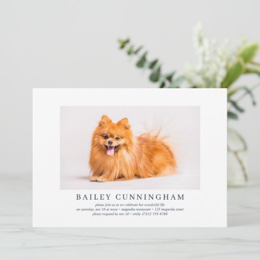 Viering van Life Simple Elegant Pet Photo Kaart (Staand voorkant)