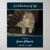 Viering van Live Entry Way One Foto Poster (Voorkant)