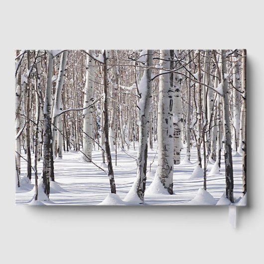 Viering van reddingsstralen in aangepaste sneeuwfo gastenboek (Achterkant)