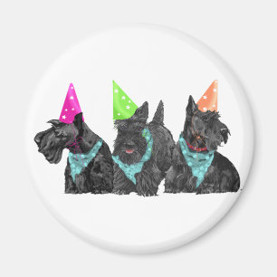 Vieringen Scotties in Feesthoeden Magneet