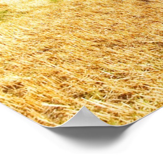 Vierkanige hooibalen poster (Hoek)