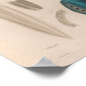 Vierkant blauw Zee maakt kunst afdrukken Poster (Hoek)