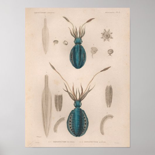 Vierkant blauw Zee maakt kunst afdrukken Poster (Voorkant)