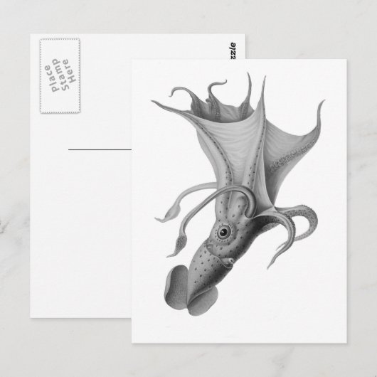  vierkant briefkaart (Voorkant / Achterkant)