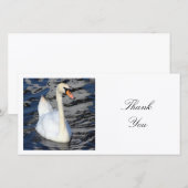 Vierkant Foto - Zwaan Bedankkaart (Voorkant / Achterkant)