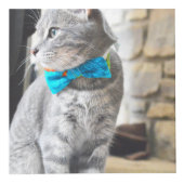 Vierkant fotoinstallatieschema Aangepaste kubusins Kubus (Rechts)