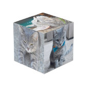 Vierkant fotoinstallatieschema Aangepaste kubusins Kubus (Achter hoekig)