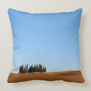 Vierkant gooien kussen van een Toscaans landschap