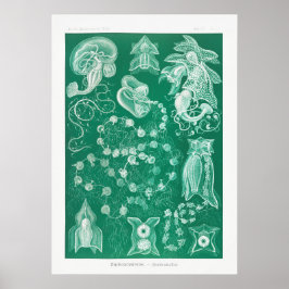  vierkant illustratie poster