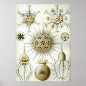  vierkant illustratie poster (Voorkant)