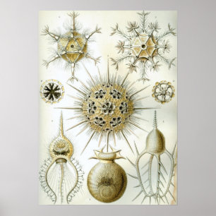 vierkant illustratie poster