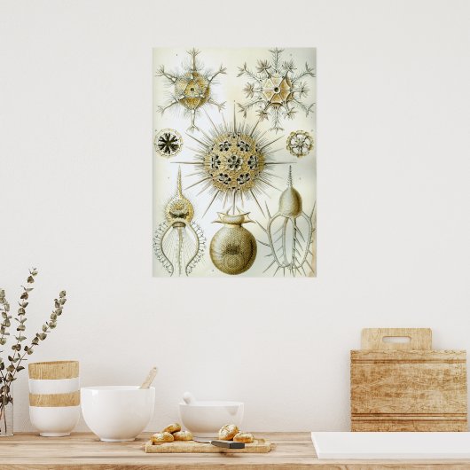  vierkant illustratie poster (Keuken)