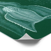  vierkant illustratie poster (Hoek)