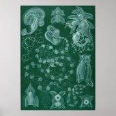 vierkant illustratie poster (Voorkant)