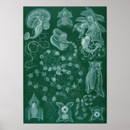  vierkant illustratie poster