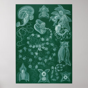 vierkant illustratie poster