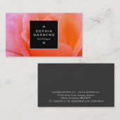 Vierkant Label 02a - Roos (Voorkant / Achterkant)