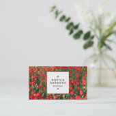 Vierkant Label 03a - Bed van Rode Tulpen 02 (Staand voorkant)