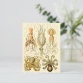  vierkant/octopus briefkaart (Staand voorkant)