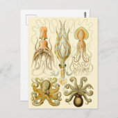  vierkant/octopus briefkaart (Voorkant / Achterkant)