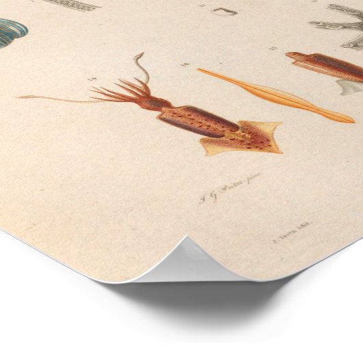 Vierkant rood blauw  Zee maakt kunst afdrukken Poster (Hoek)