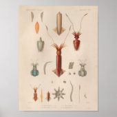 Vierkant rood blauw  Zee maakt kunst afdrukken Poster (Voorkant)