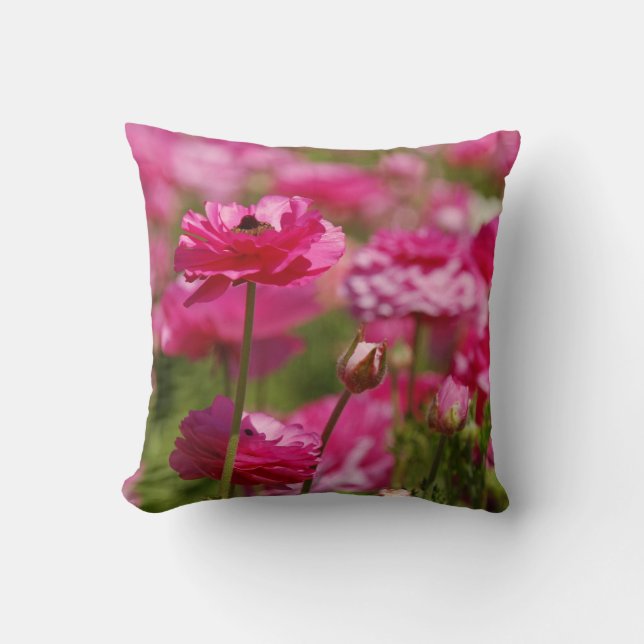 Vierkant Sierkussen met roze Ranunculus-ontwerp (Voorkant)