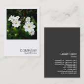Vierkante foto 0159 - Witte Kosmos Bloemen Visitekaartje (Voorkant / Achterkant)