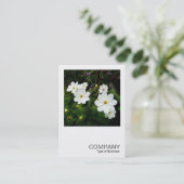 Vierkante foto 0159 - Witte Kosmos Bloemen Visitekaartje (Staand voorkant)